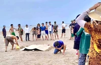 Đưa 4 cháu ngoại đi tắm biển, 3 cháu đuối nước thương tâm 