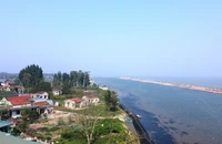 Biển hồi sinh, thôi 'nuốt' làng ở Thanh Hóa