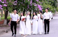 Hoa bằng lăng tím nở rộ ở Thanh Hóa, giới trẻ mê mẩn check-in