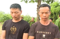 Lời khai của 2 người Trung Quốc xâm phạm khu mộ vua Lê Túc Tông 