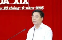 Thanh Hóa thành lập 166 đảng bộ xã, phường