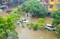 Bão số 3: Hàng loạt ô tô ở Thanh Hóa ngập sâu trong nước 