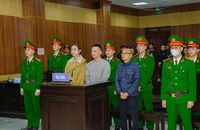 Thanh Hóa: Vợ chồng Vi 'ngộ' lãnh án vì trốn thuế