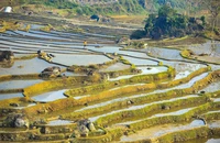 Ngắm 'viên ngọc xanh' Pù Luông xứ Thanh mùa nước đổ