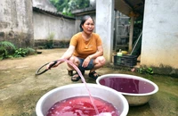 Thanh Hóa: Nhiều hộ dân phản ánh nước sinh hoạt đổi màu tím, bốc mùi hôi tanh