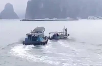 Hai tàu vỏ gỗ rượt nhau trên vịnh Hạ Long