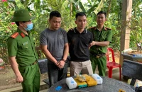 Phá đường dây ma tuý ở Quảng Bình, thu giữ hơn 14.000 viên ma túy 