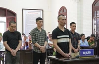 Tuyên án tử hình 3 bị cáo mua bán, tàng trữ gần 14.000 viên ma túy