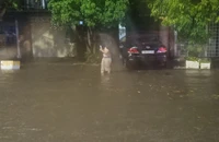 Quảng Bình hạ nhiệt sau 'cơn mưa vàng' kéo dài gần 2 giờ đồng hồ