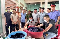 2 người mang súng đã lên đạn 'áp tải' 26 kg ma túy từ Lào về Việt Nam
