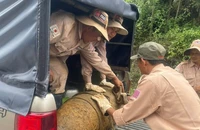 Người dân Quảng Bình phát hiện quả bom nặng 350 kg