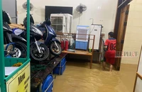 Người dân Quảng Bình hối hả chạy lũ trong đêm