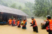 Quảng Bình: 1 người bị nước lũ cuốn trôi mất tích khi đang làm nhiệm vụ