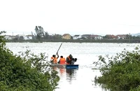 Tìm kiếm người đàn ông mất tích khi đi thả lưới giữa đồng