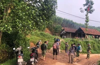 Hàng chục người tỏa vào rừng tìm người bị mất liên lạc khi đi tìm mật ong