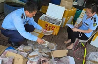 Quảng Bình thu giữ gần 3 tạ thực phẩm không rõ nguồn gốc