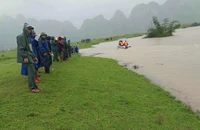 Cùng mẹ dắt trâu đi tránh lũ, 1 học sinh ở Quảng Trị bị nước cuốn trôi