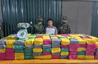 Biên phòng Quảng Trị phá chuyên án QT925.3, thu giữ nửa tấn ma túy