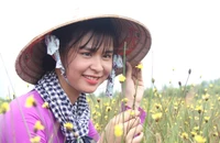 Tháng 5, đến Tràm Chim ngắm hoa lạ