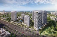 Stella En Tropic - Dự án căn hộ hạng sang quận Bình Tân của Kita Group