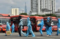 Phương Trang – FUTA BUS LINES phạt nặng 3 tài xế vượt ẩu trên Quốc lộ 20