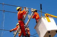 Điện lực Miền Nam đưa giải pháp tiết giảm chi phí trước nhiều khó khăn 