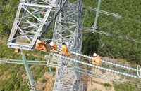 EVNNPT khẩn trương triển khai đường dây 500 kV mạch 3 đảm bảo điện cho miền Bắc