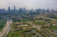 TP.HCM có 85.300 đơn thư kiến nghị, khiếu nại, tố cáo liên quan đến đất đai