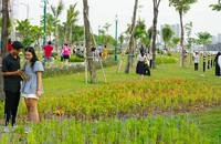 TP.HCM sắp có thêm 15 công viên cây xanh