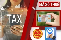 Sắp ra sân bay cần kiểm tra ngay: 4 trường hợp nợ thuế bị tạm hoãn xuất cảnh