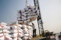 Đề xuất áp thuế giá trị gia tăng 5% với phân bón