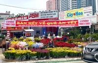 Sát Tết Nguyên đán, hoa nở bung vắng khách mua, giá thực phẩm tăng nhẹ