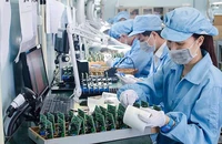 Dòng vốn 15 tỉ USD rót vào Việt Nam 6 tháng đầu năm