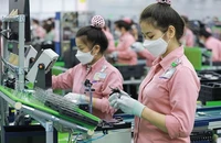 Giá nhiều mặt hàng nông sản xuất khẩu tăng mạnh, cà phê tăng cao nhất