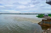 Sau bão số 3, Hà Nội báo động lũ trên sông Tích, sông Bùi