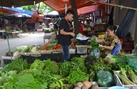 Hơn hai tuần sau bão số 3, giá rau xanh ở Hà Nội tăng gấp đôi