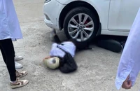 Móng Cái: Tai nạn ô tô giữa sân trường phổ thông