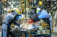 Nhiều chỉ số phát triển kinh tế Việt Nam khởi sắc, 'lấy đà' đón năm 2025 thuận lợi