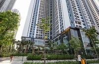 Chính sách đánh thuế với bất động sản vẫn chưa thay đổi