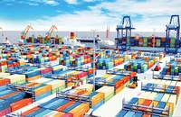 Bộ Tài chính đề xuất giảm thuế nhập khẩu ưu đãi với ô tô, trái cây, đùi gà đông lạnh