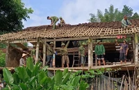 Thủ tướng làm Trưởng Ban chỉ đạo triển khai xóa nhà tạm, nhà dột nát