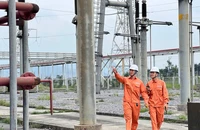 EVNGENCO1 tinh gọn sắp xếp bộ máy còn 10 ban chuyên môn