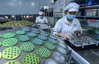 GDP 2025 đạt 8,02%, Việt Nam có mức tăng trưởng cao nhất khu vực Đông Nam Á