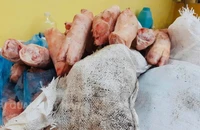Hải quan bắt giữ hơn 1,5 tấn thực phẩm đông lạnh nhập lậu 