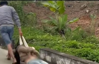 Công an TP Hải Phòng thông tin vụ cô gái bị kéo lê trên đường