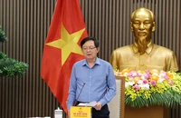 Từ việc ùn ứ sầu riêng, Phó Thủ tướng yêu cầu siết quản lý mã số vùng trồng, ngăn mua bán trái phép 