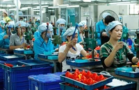 Doanh nghiệp nhỏ và vừa có thể vay vốn bằng tài sản số, tài sản ảo