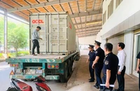 Hải quan phát hiện, tiêu hủy 325.000 bao thuốc lá giả