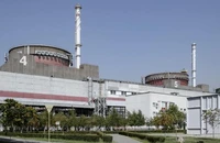 Nga bắt giữ 2 công nhân nhà máy điện hạt nhân, nghi là gián điệp Ukraine 