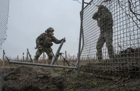 Chiến sự Nga-Ukraine 24-12: Ông Zelensky nói về ‘chìa khóa kết thúc chiến tranh’; Chuột đe dọa lính Nga, Ukraine